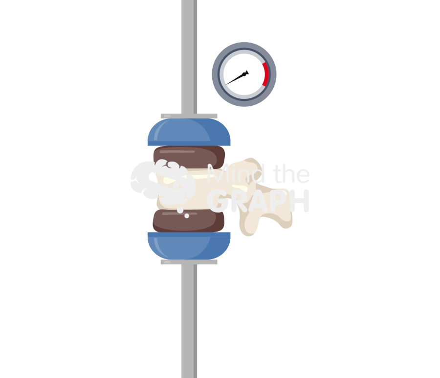 Vertebra compression test 1 Icons, Symbols, Pictures, and Images