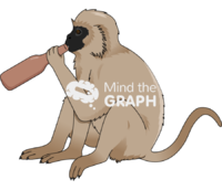 Vervet monkey drinking Icons, Symbols, Pictures, and Images