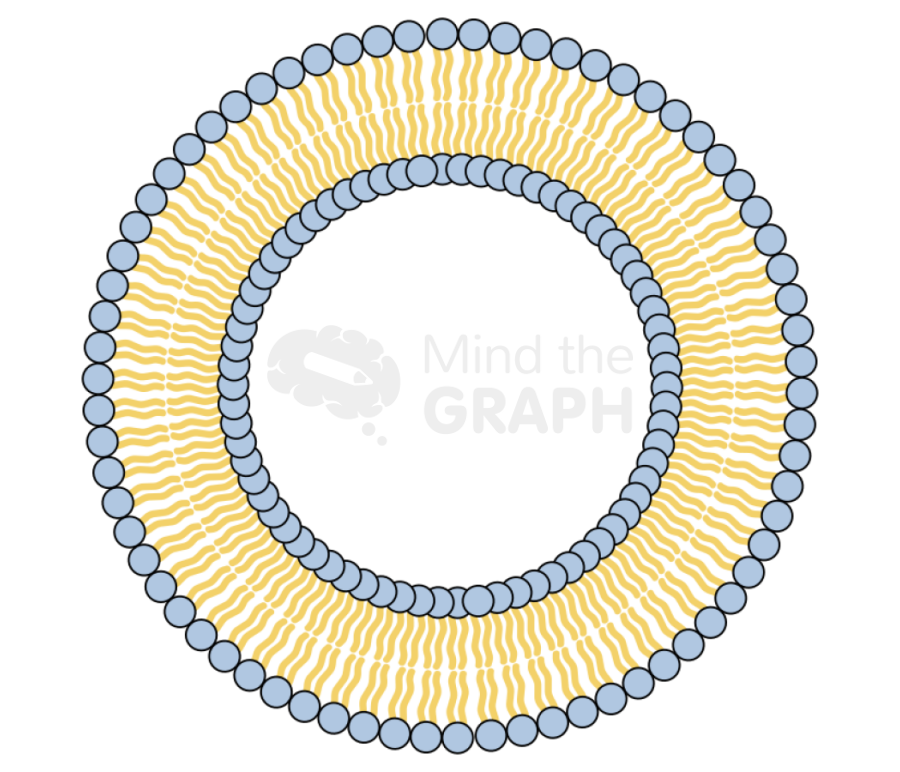 Vesicle complex Icons, Symbols, Pictures, and Images