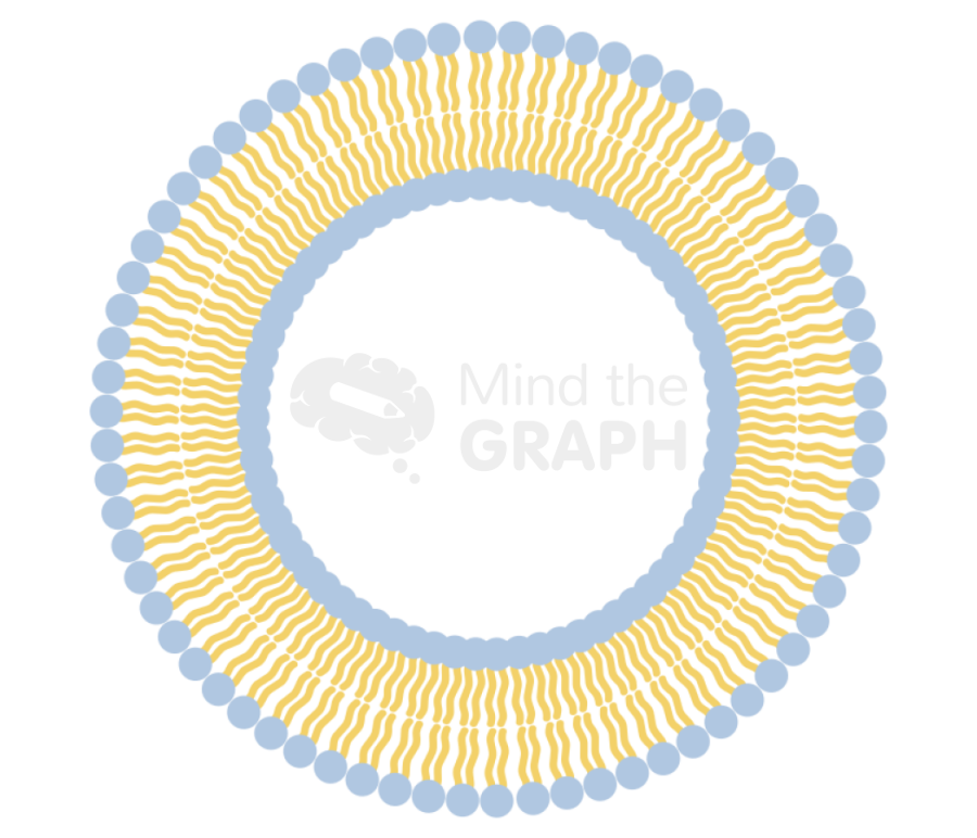 Vesicle complex Icons, Symbols, Pictures, and Images