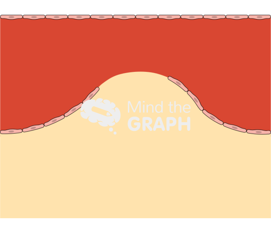 Vessel tissue Icons, Symbols, Pictures, and Images