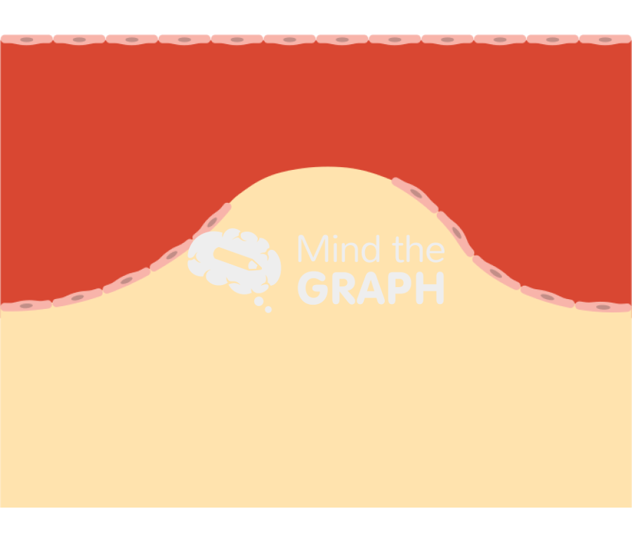 Vessel tissue Icons, Symbols, Pictures, and Images