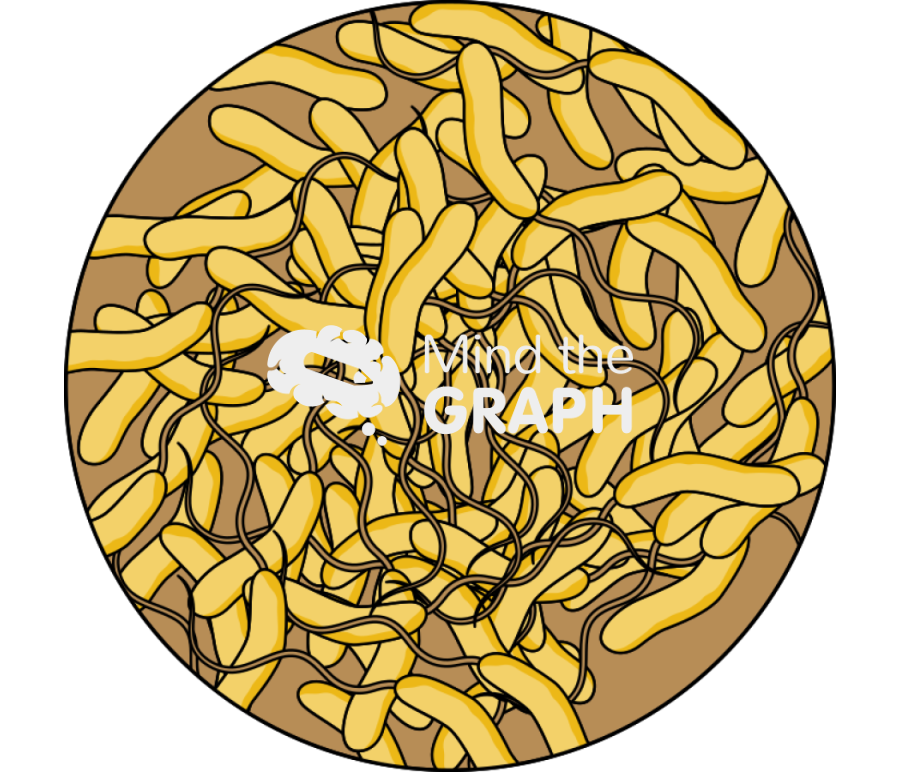 Vibrio cholerae zoom Icons, Symbols, Pictures, and Images