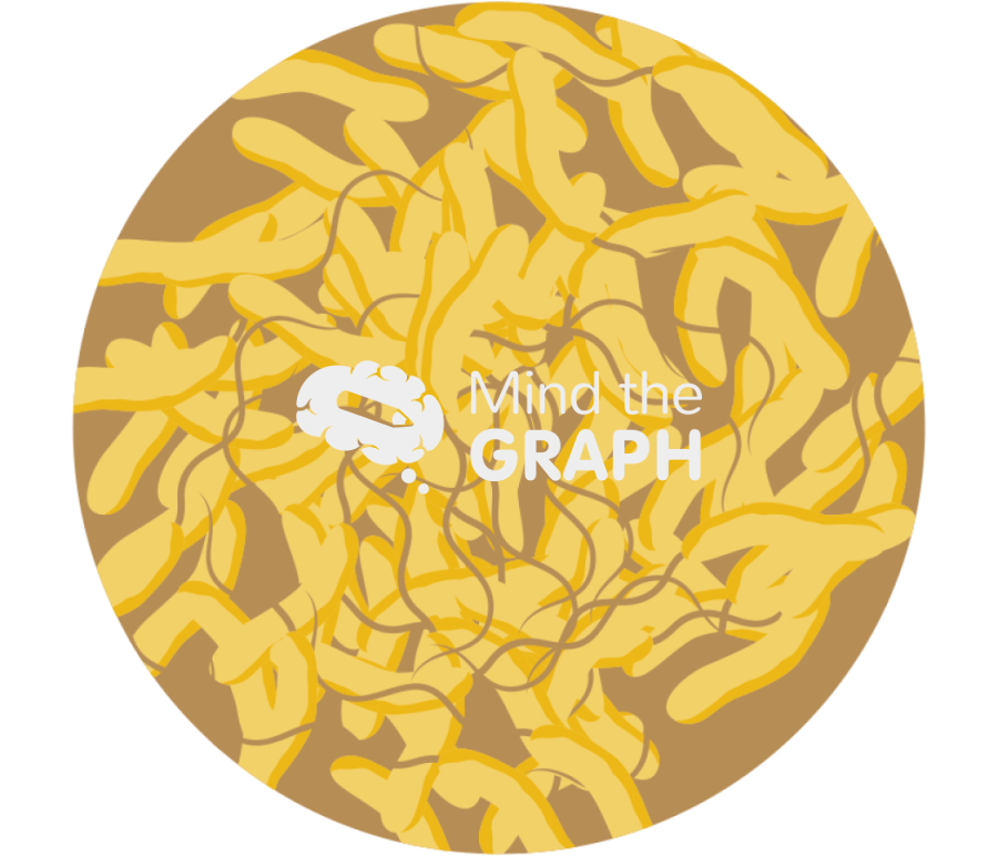 Vibrio cholerae zoom Icons, Symbols, Pictures, and Images