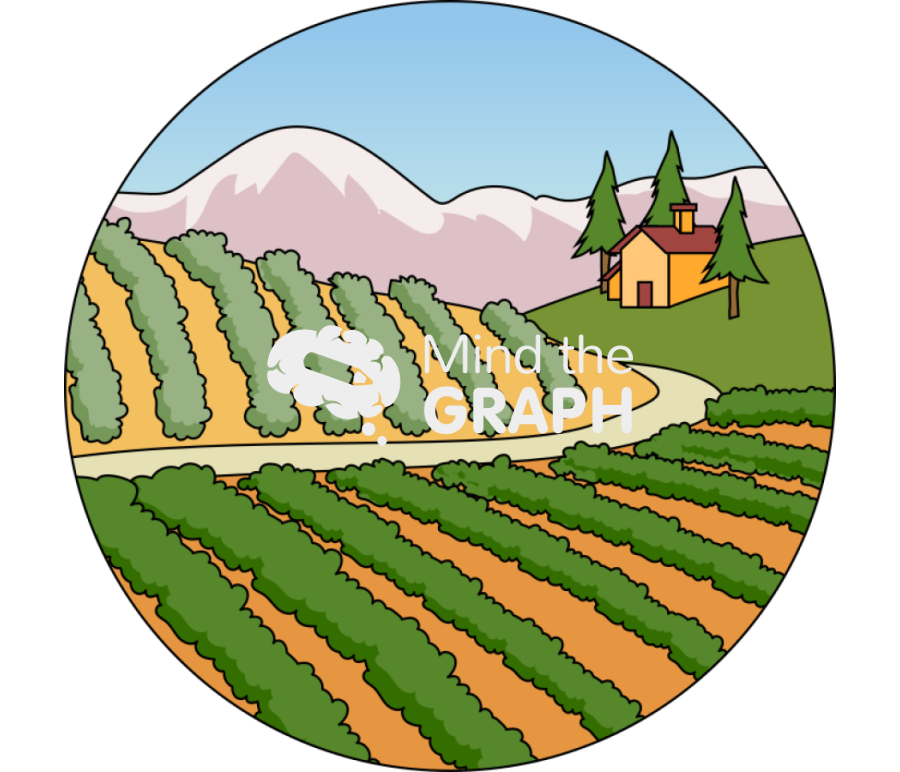 Vineyard grapevine landscape zoom Icons, Symbols, Pictures, and Images