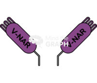 Vnar immunoglobulin element 2 Icons, Symbols, Pictures, and Images