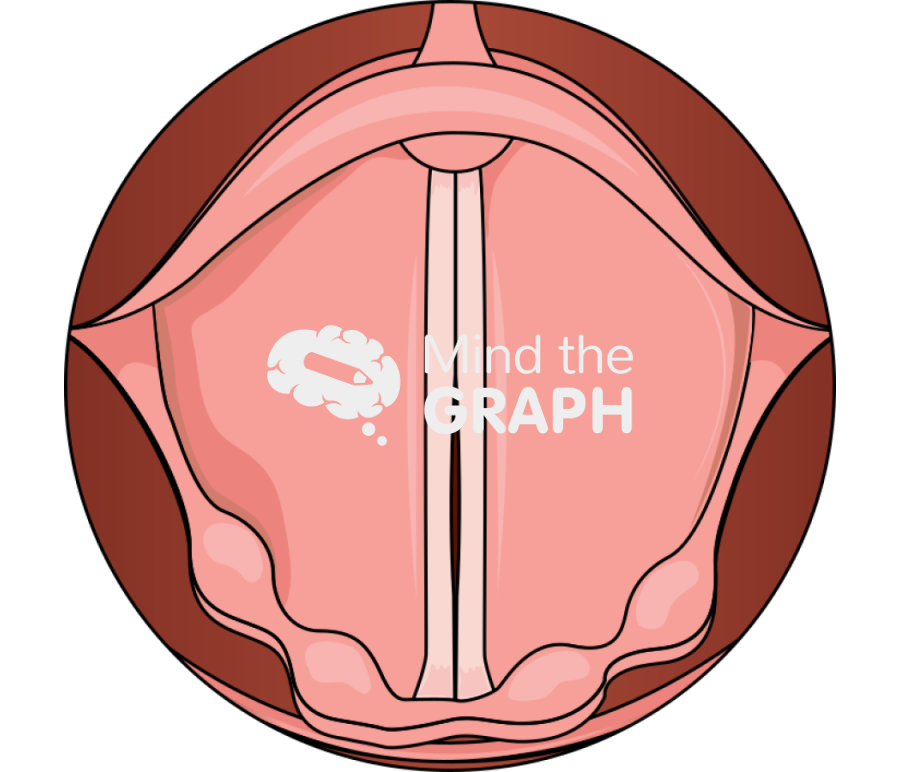 Vocal cords phonation Icons, Symbols, Pictures, and Images