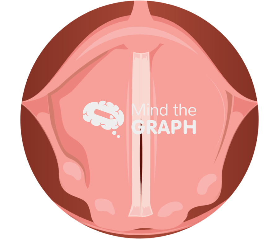 Vocal cords phonation Icons, Symbols, Pictures, and Images
