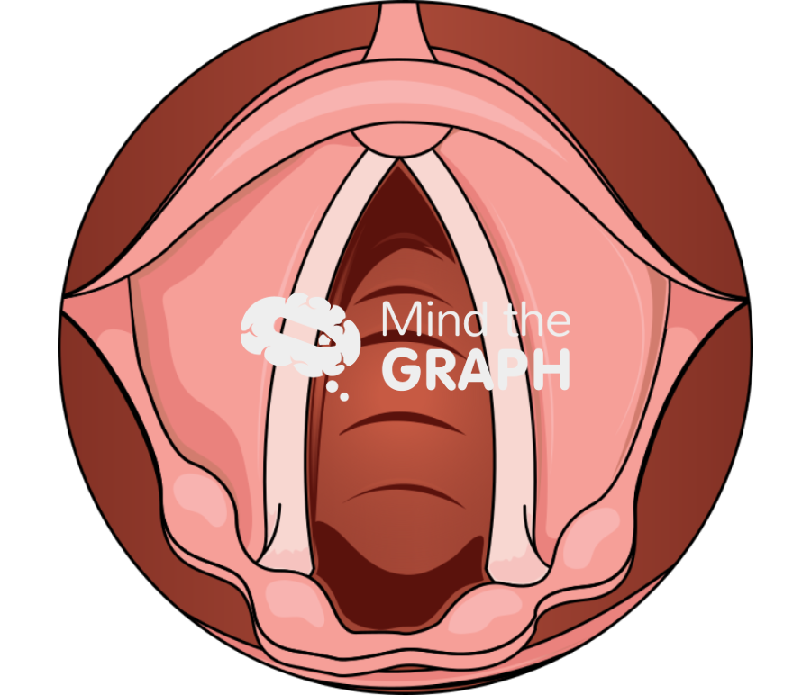 Vocal cords rest Icons, Symbols, Pictures, and Images