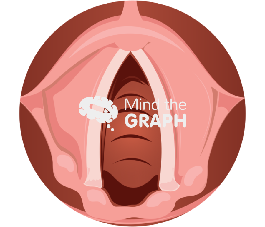 Vocal cords rest Icons, Symbols, Pictures, and Images