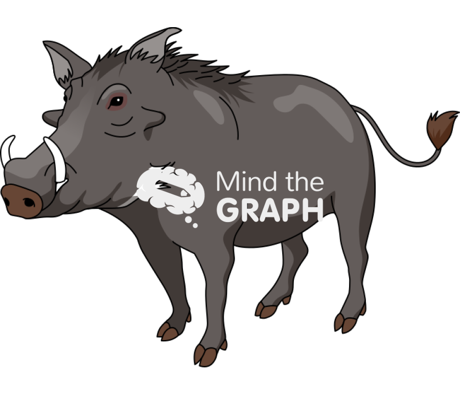 Warthog perspective Icons, Symbols, Pictures, and Images