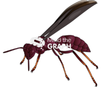 Wasp mischocyttarus - Edit and Customize Icons of Wasp mischocyttarus Wasp mischocyttarus Icons, Symbols, Pictures, and Images