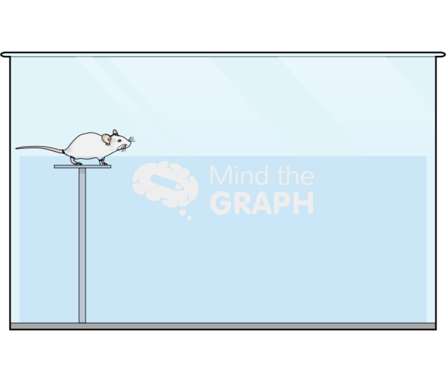 Water maze 2 Icons, Symbols, Pictures, and Images