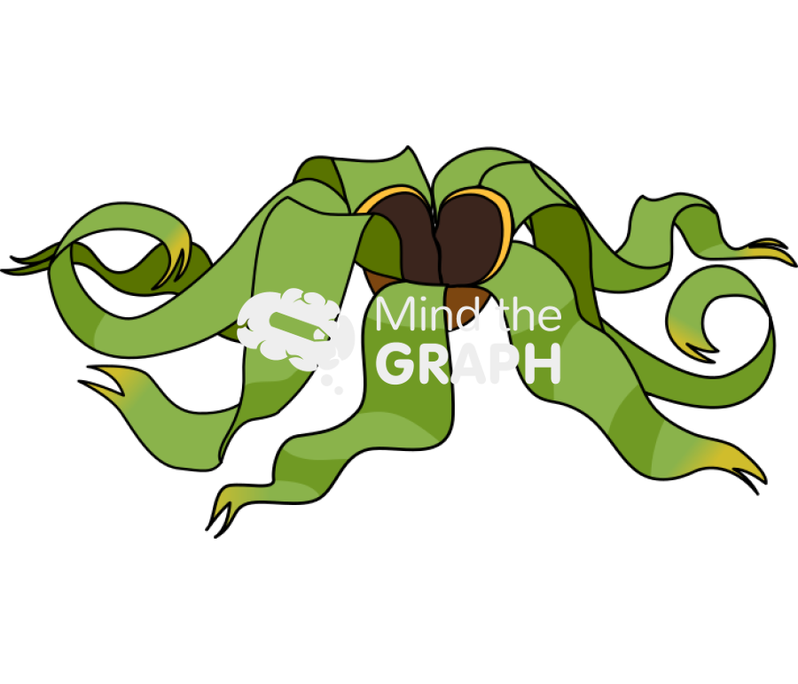 Welwitschia mirabilis 1 Icons, Symbols, Pictures, and Images