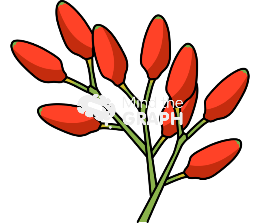 Welwitschia mirabilis 4 Icons, Symbols, Pictures, and Images