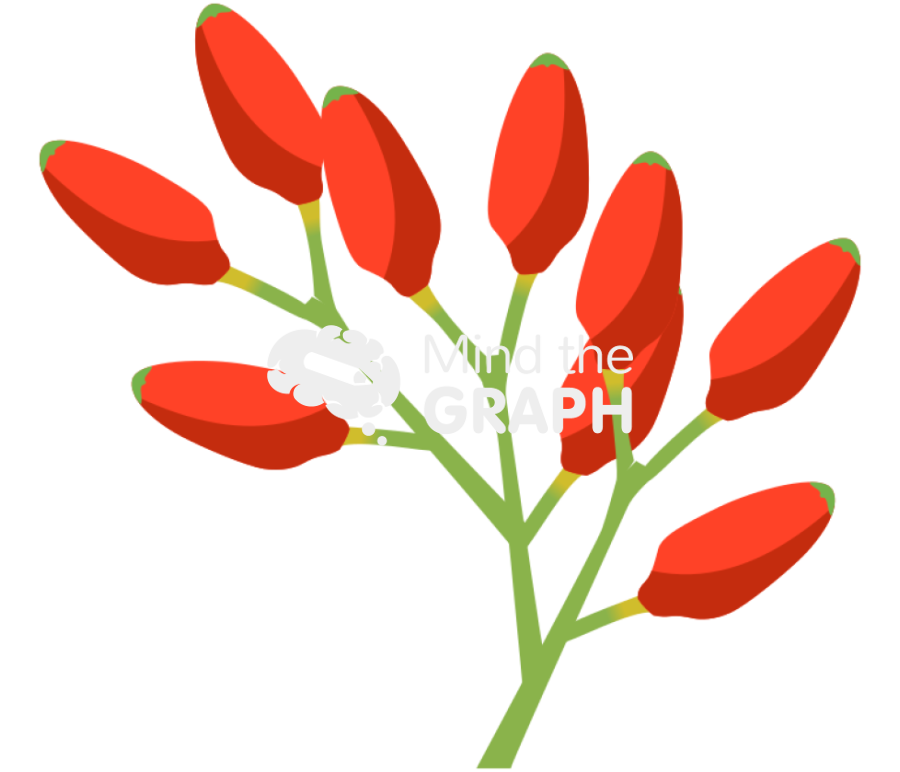 Welwitschia mirabilis 4 Icons, Symbols, Pictures, and Images