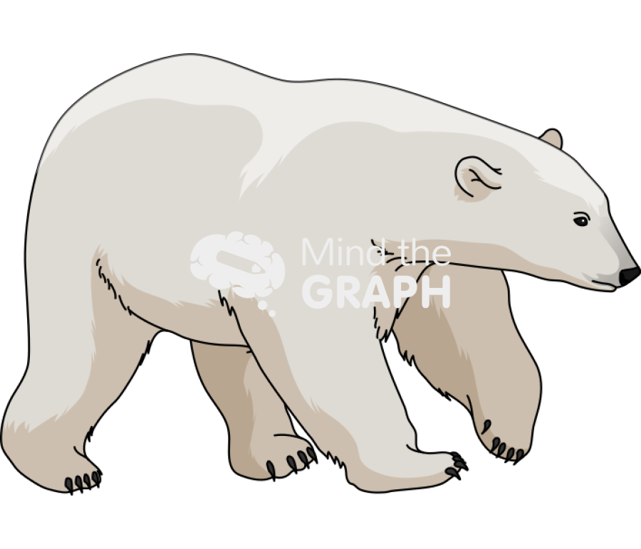 White bear walking Icons, Symbols, Pictures, and Images