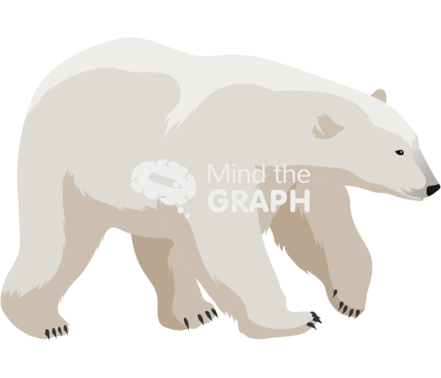 White bear walking Icons, Symbols, Pictures, and Images