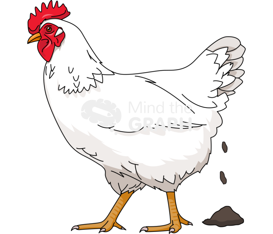 White chicken defecation Icons, Symbols, Pictures, and Images