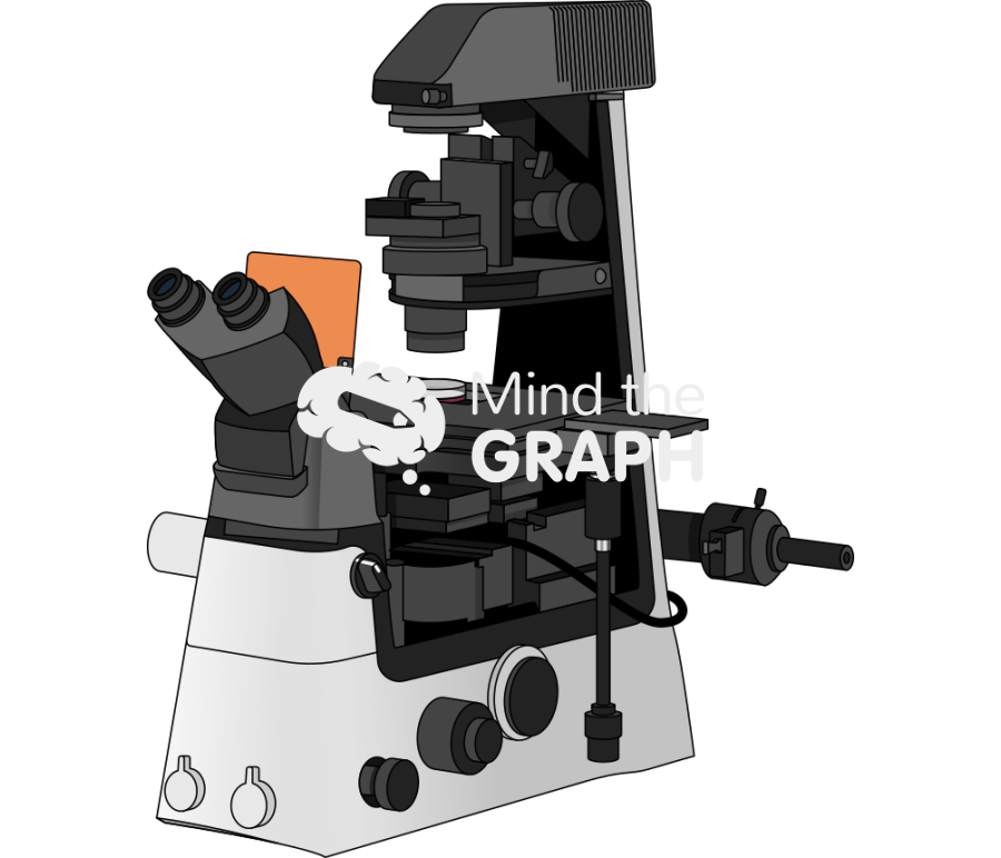 Widefiled microscope inverse nikon ti2 e equipment Icons, Symbols, Pictures, and Images