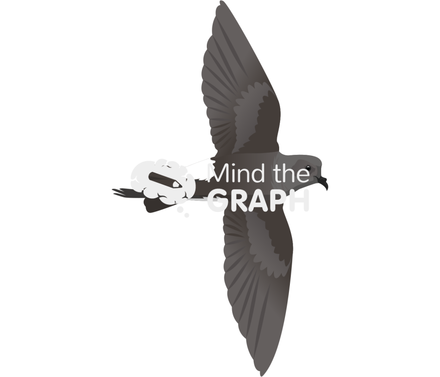 Wilsons storm petrel ventral Icons, Symbols, Pictures, and Images