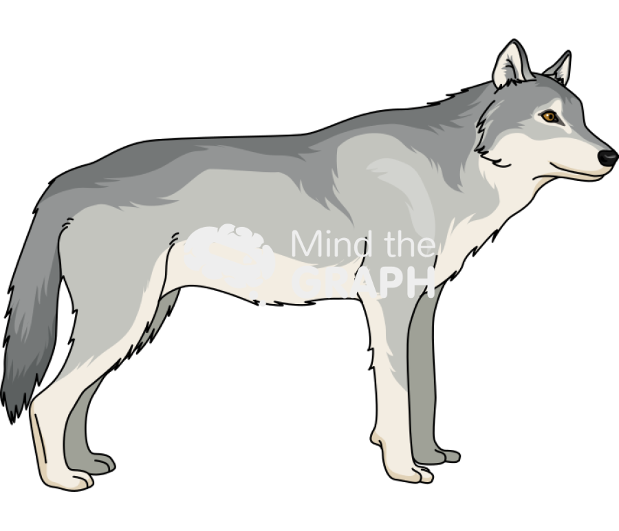 Wolf side Icons, Symbols, Pictures, and Images