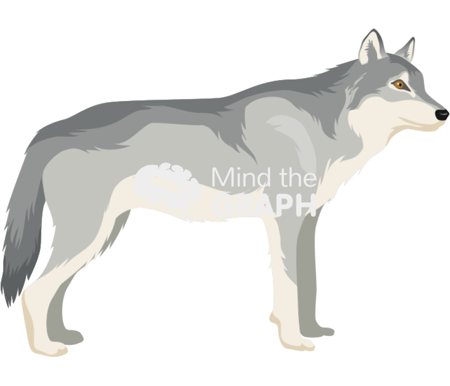 Wolf side Icons, Symbols, Pictures, and Images