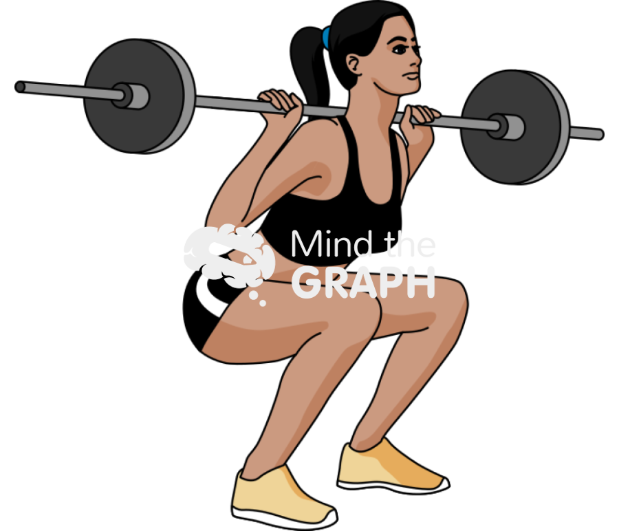 Woman barbell squats 2 Icons, Symbols, Pictures, and Images