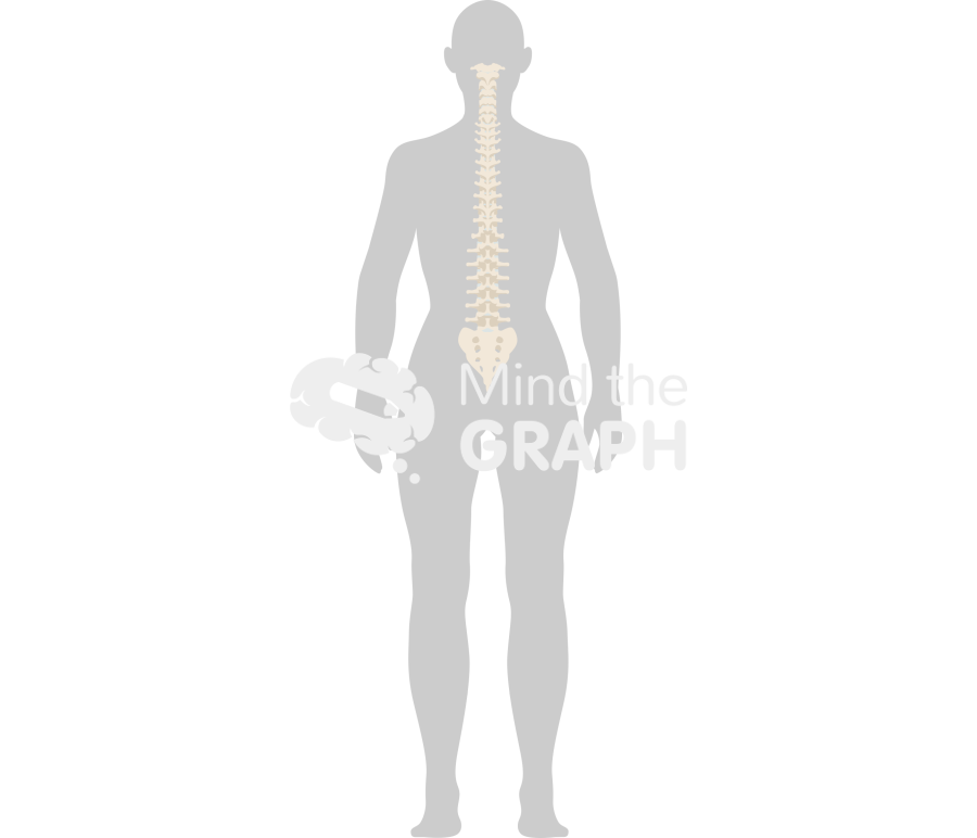 Woman column normal back body Icons, Symbols, Pictures, and Images