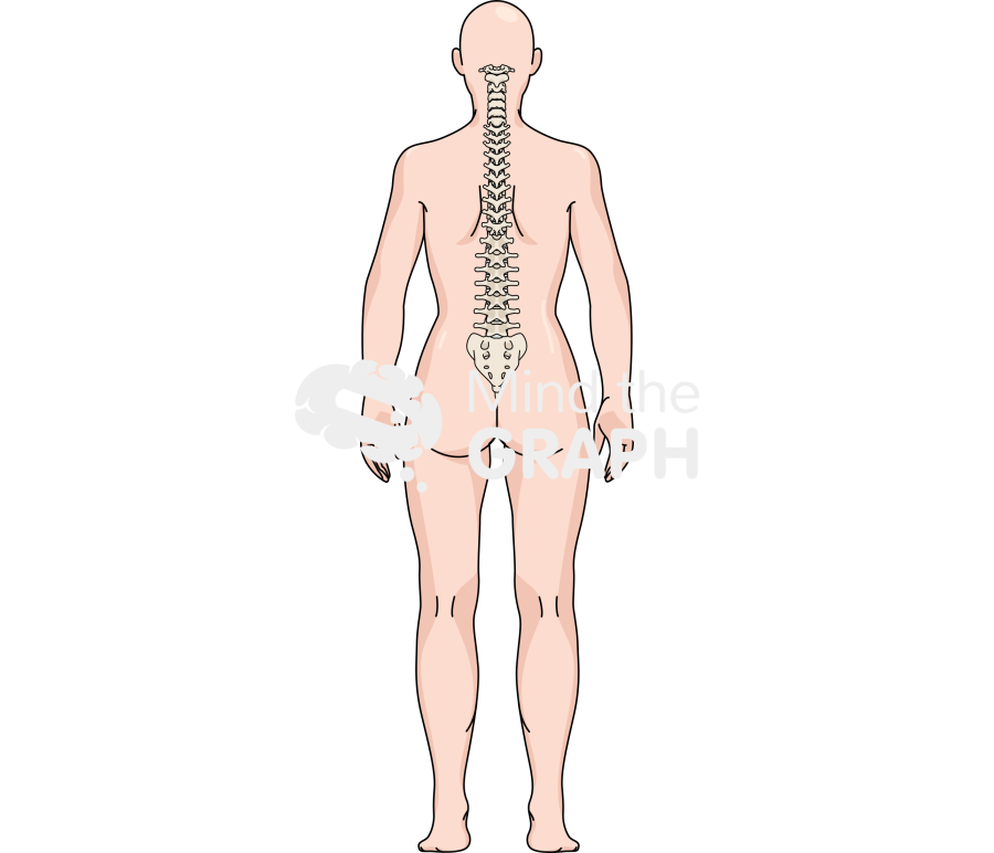 Woman column normal back body full Icons, Symbols, Pictures, and Images