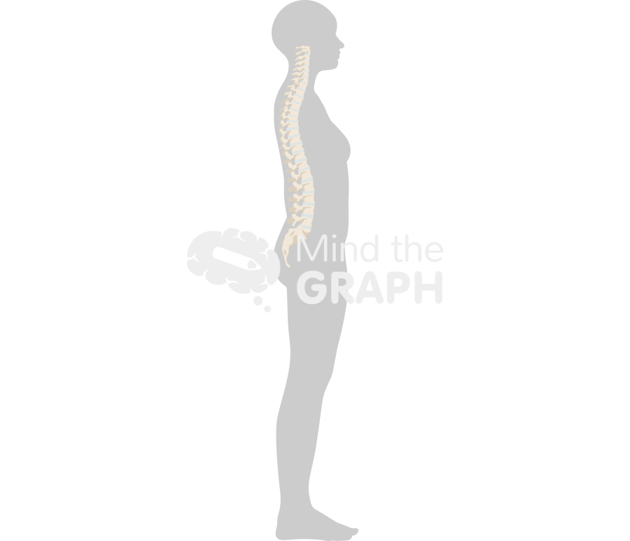 Woman column normal lateral body Icons, Symbols, Pictures, and Images