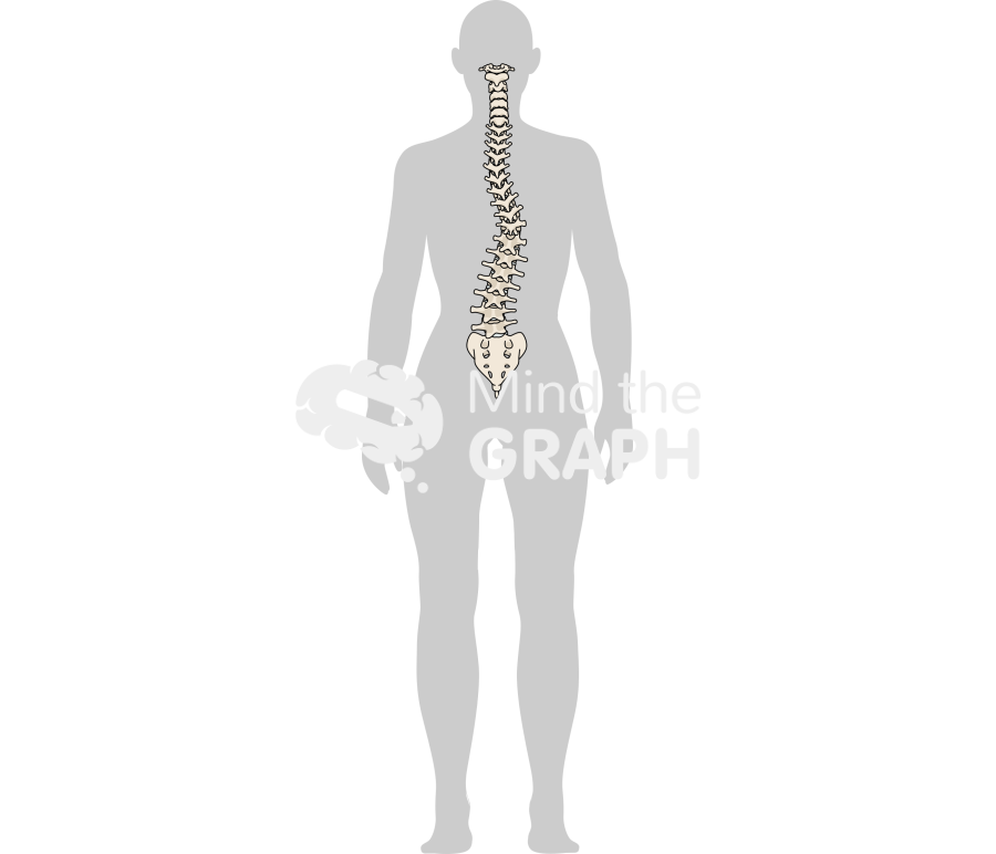 Woman column scoliosis back body Icons, Symbols, Pictures, and Images