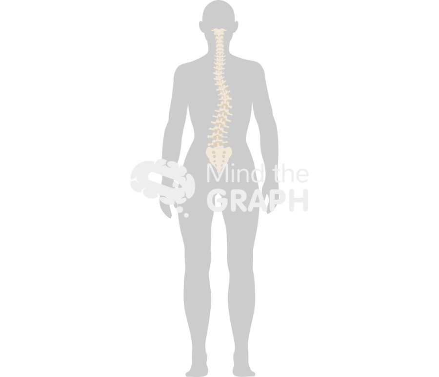 Woman column scoliosis back body Icons, Symbols, Pictures, and Images