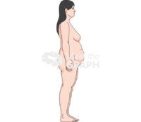 Woman fat anatomic side caucasian - Edit and Customize Icons of Woman fat anatomic side caucasian Woman fat anatomic side caucasian Icons, Symbols, Pictures, and Images