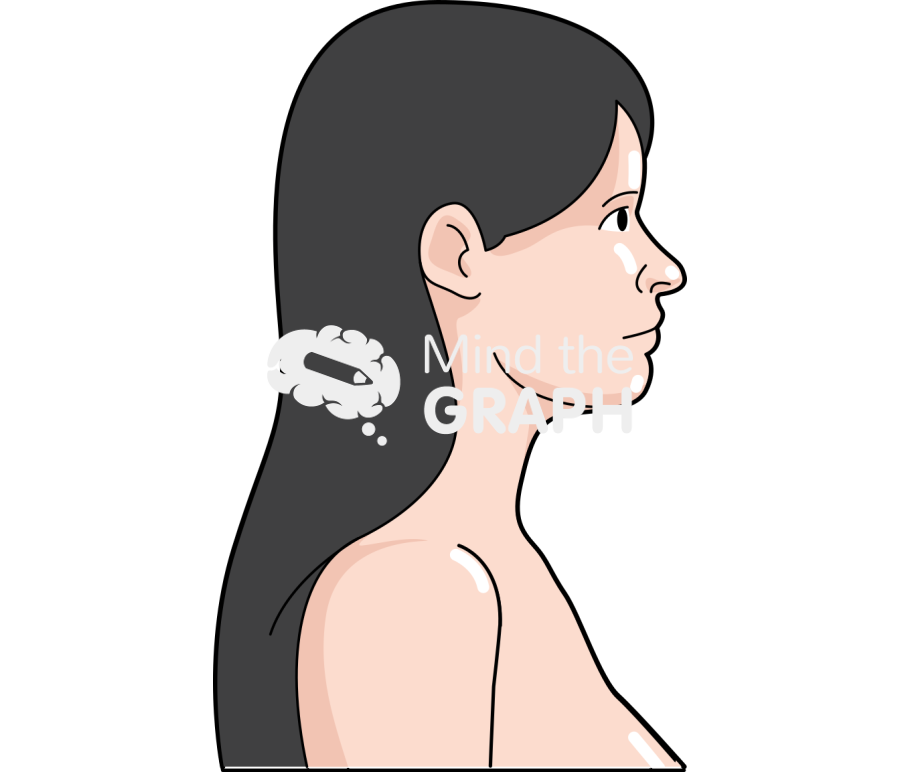 Woman head side caucasian Icons, Symbols, Pictures, and Images