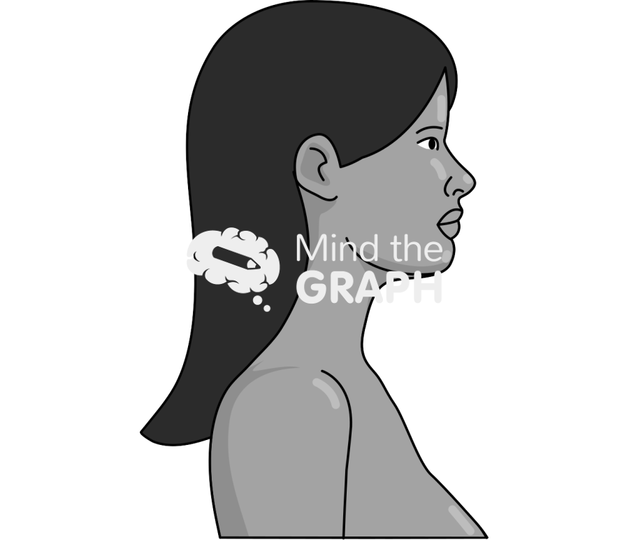 Woman head side indian Icons, Symbols, Pictures, and Images