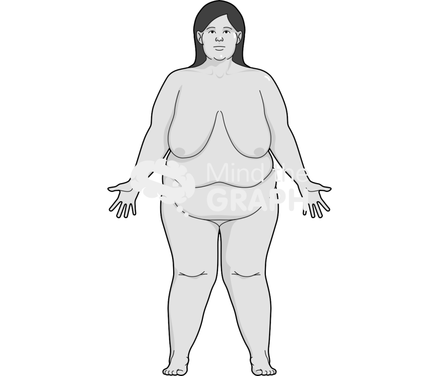 Woman obese anatomic front caucasian Icons, Symbols, Pictures, and Images