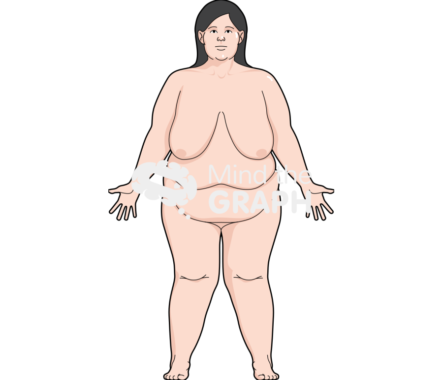 Woman obese anatomic front caucasian Icons, Symbols, Pictures, and Images