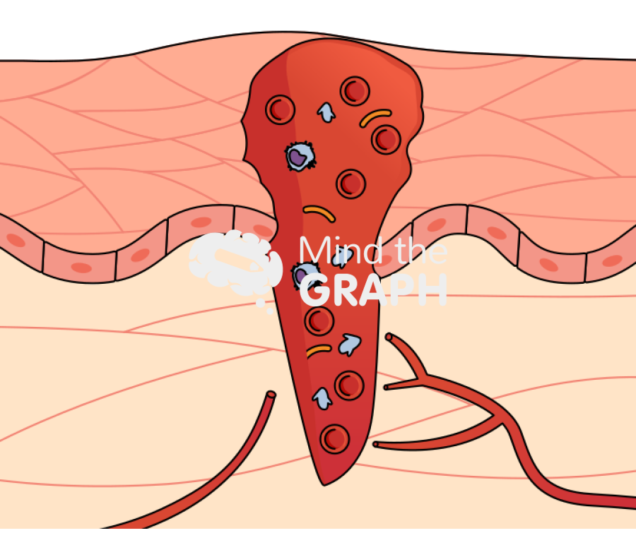 Wound healing process 1 Icons, Symbols, Pictures, and Images