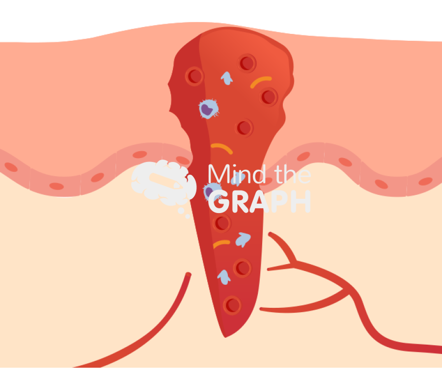 Wound healing process 1 Icons, Symbols, Pictures, and Images