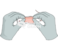 Wound process 1 Icons, Symbols, Pictures, and Images