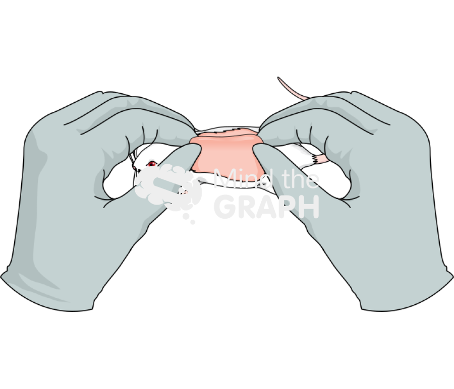 Wound process 1 Icons, Symbols, Pictures, and Images