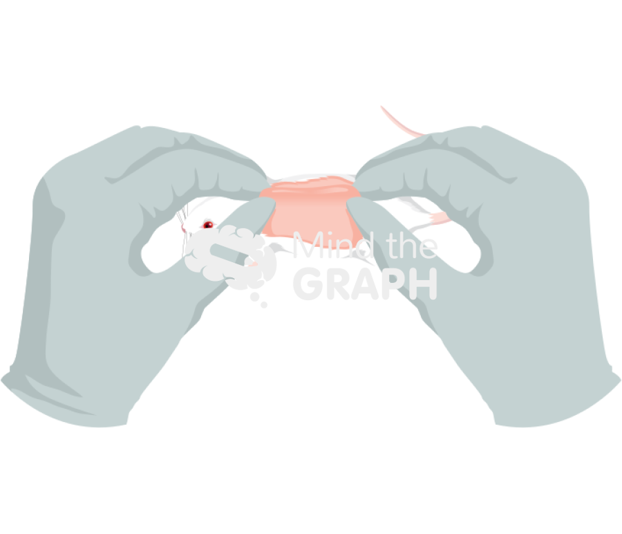 Wound process 1 Icons, Symbols, Pictures, and Images