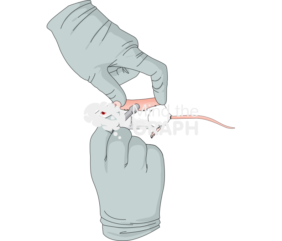 Wound process 2 Icons, Symbols, Pictures, and Images