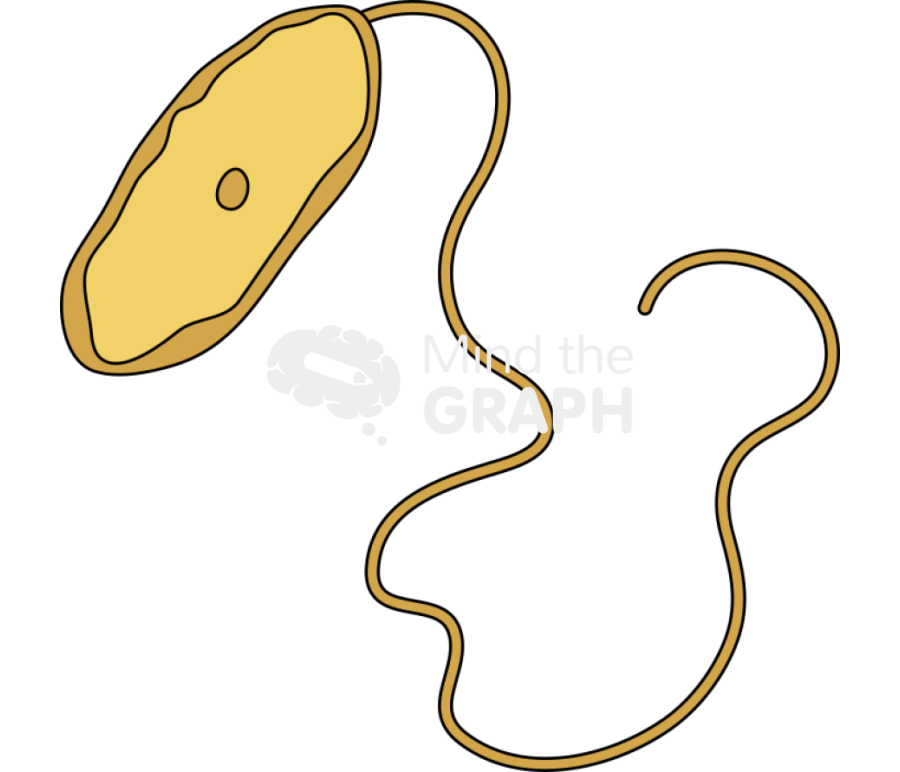 Xanthomonas proteobacteria Icons, Symbols, Pictures, and Images