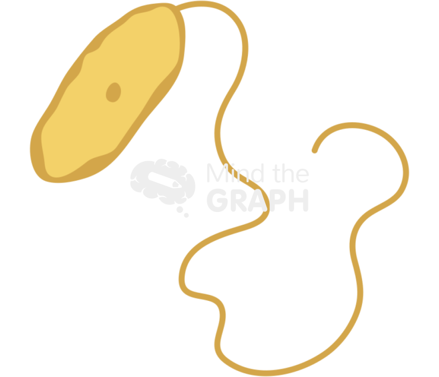 Xanthomonas proteobacteria Icons, Symbols, Pictures, and Images