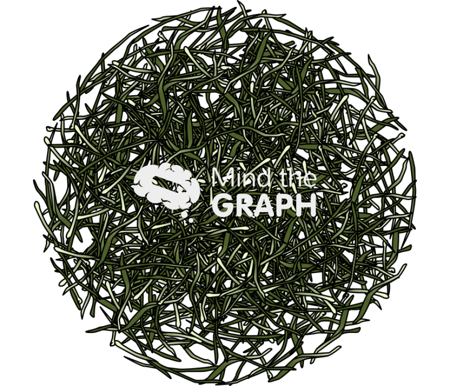 Xin yang mao jian tea Icons, Symbols, Pictures, and Images