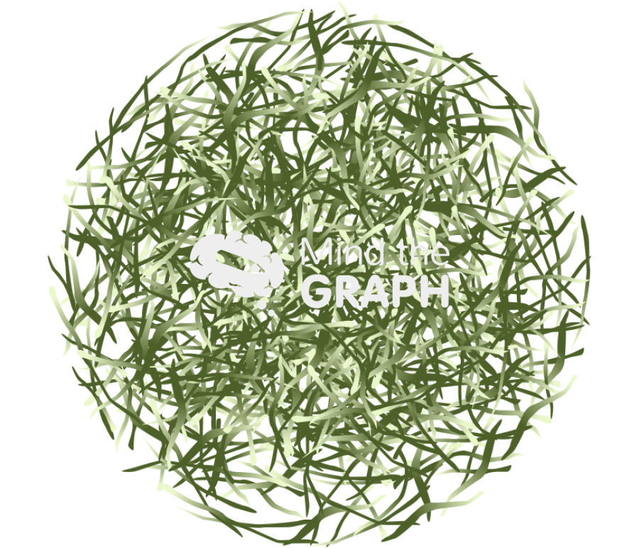 Xin yang mao jian tea Icons, Symbols, Pictures, and Images