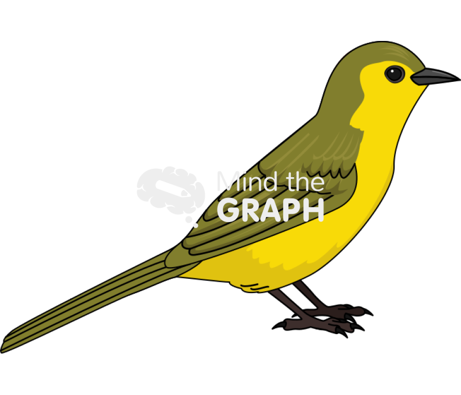 Yellow browed bulbur Icons, Symbols, Pictures, and Images