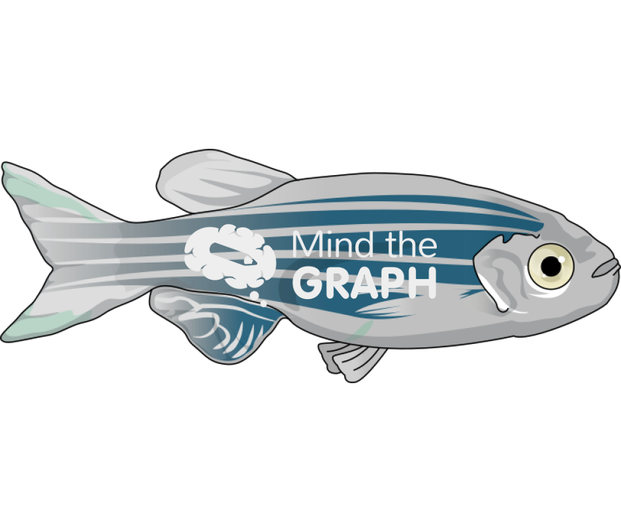 Zebrafish blue female Icons, Symbols, Pictures, and Images